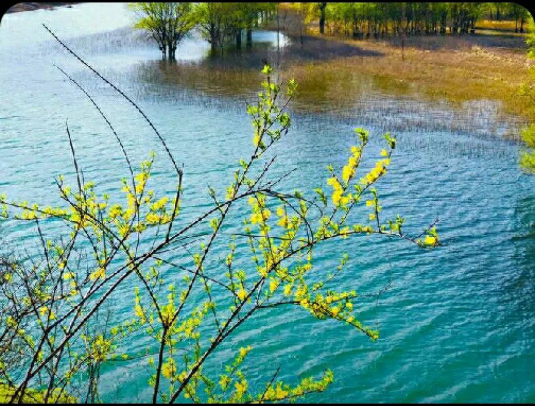 中华诗词日历2024最新,中华诗词2023第7期