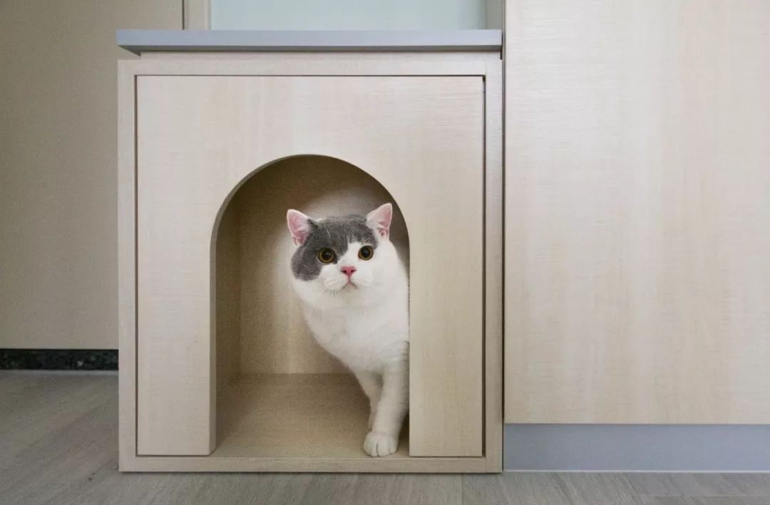 香港150平米蜗居装修效果,香港小户型房间设计