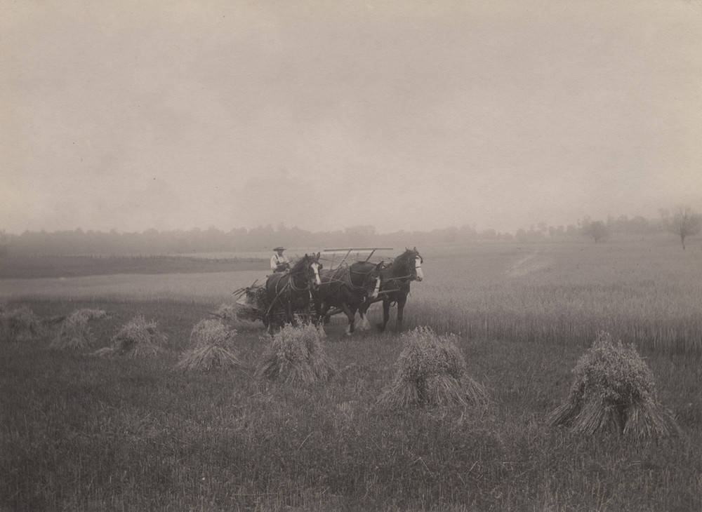 巴西为什么足球这么厉害,巴西为什么是体育强国