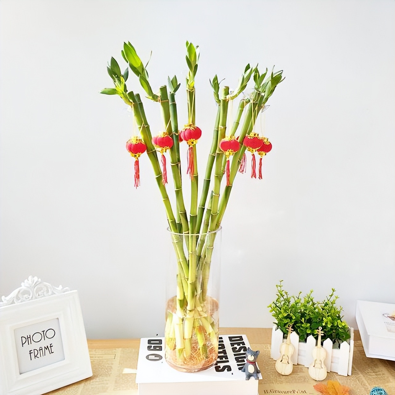 办公室水培富贵竹一般养几根最好,水培富贵竹养几根才最好吉利