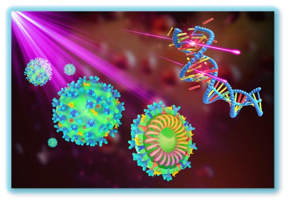 厦大科研疫苗,厦大参研的新冠疫苗进展