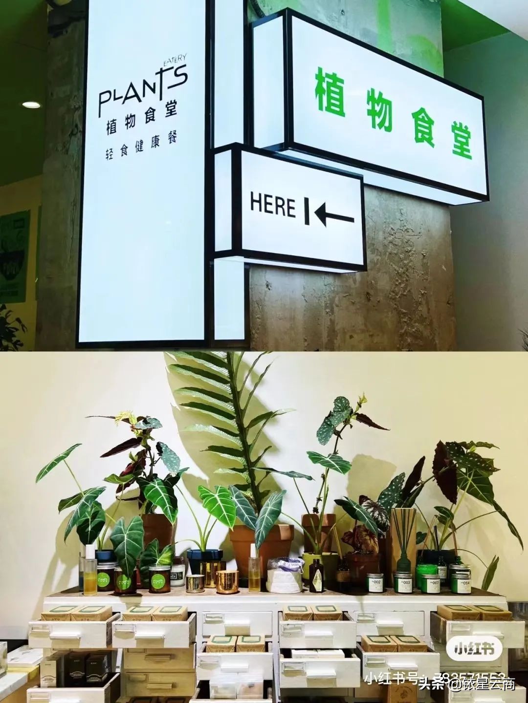 西南购物中心贵阳,新西南购物中心