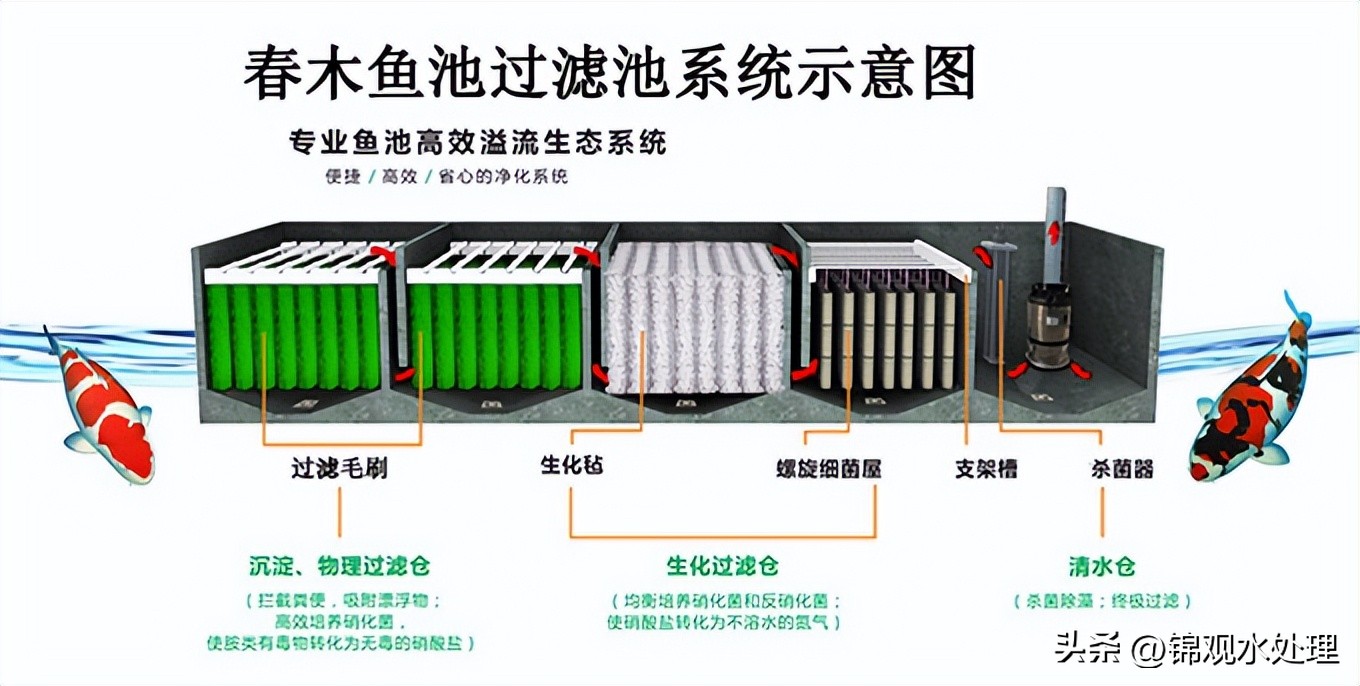 最简单高效的鱼池过滤系统设计图,室外鱼池自制最简单的过滤系统