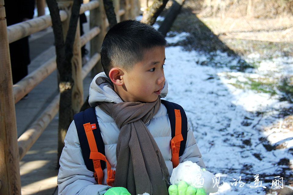 如果一生只去一个古城,一生去一次九寨沟