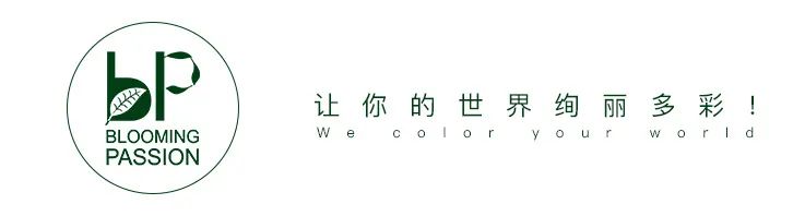 地栽月季雨天积水怎么办,雨季月季光照不足怎么办