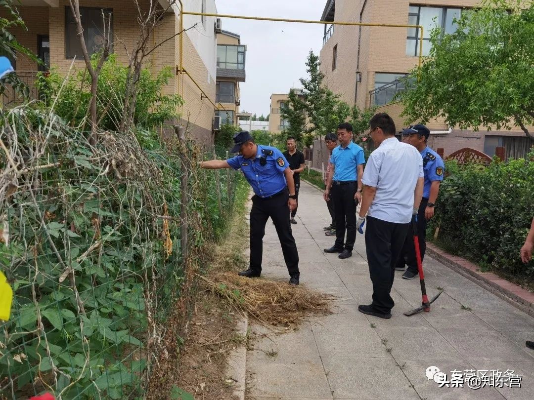 油城e家幸福家园⑬丨黄河路街道汇丰社区：“微”处着眼，“小”事入手，唱响社区治理新曲