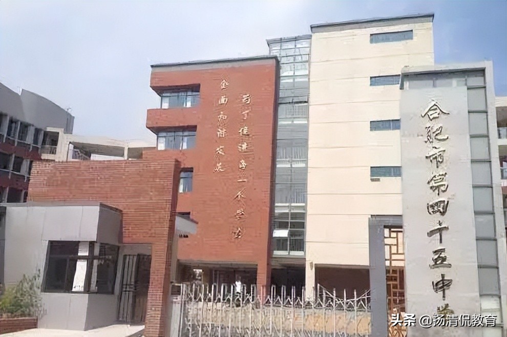 合肥小升初有哪些学校全省招生,合肥小升初所有学校排名一览表