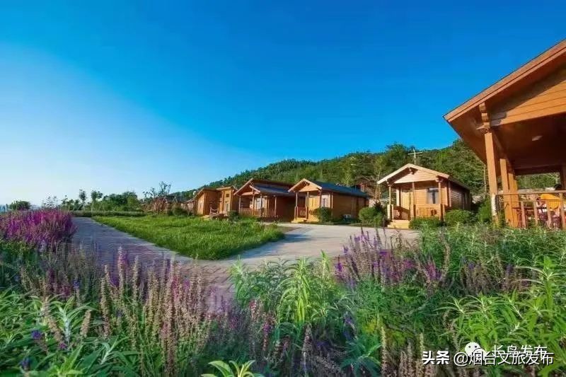 长岛旅游指南最新,长岛一日游旅游指南推荐