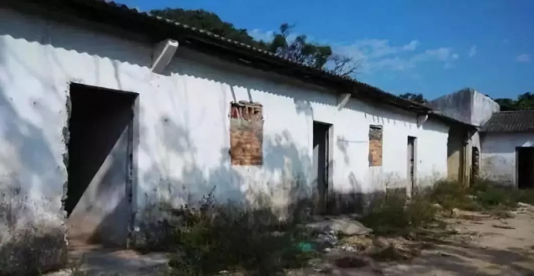 搞个10亩共享农场花多少钱,共享农场未来5年前景