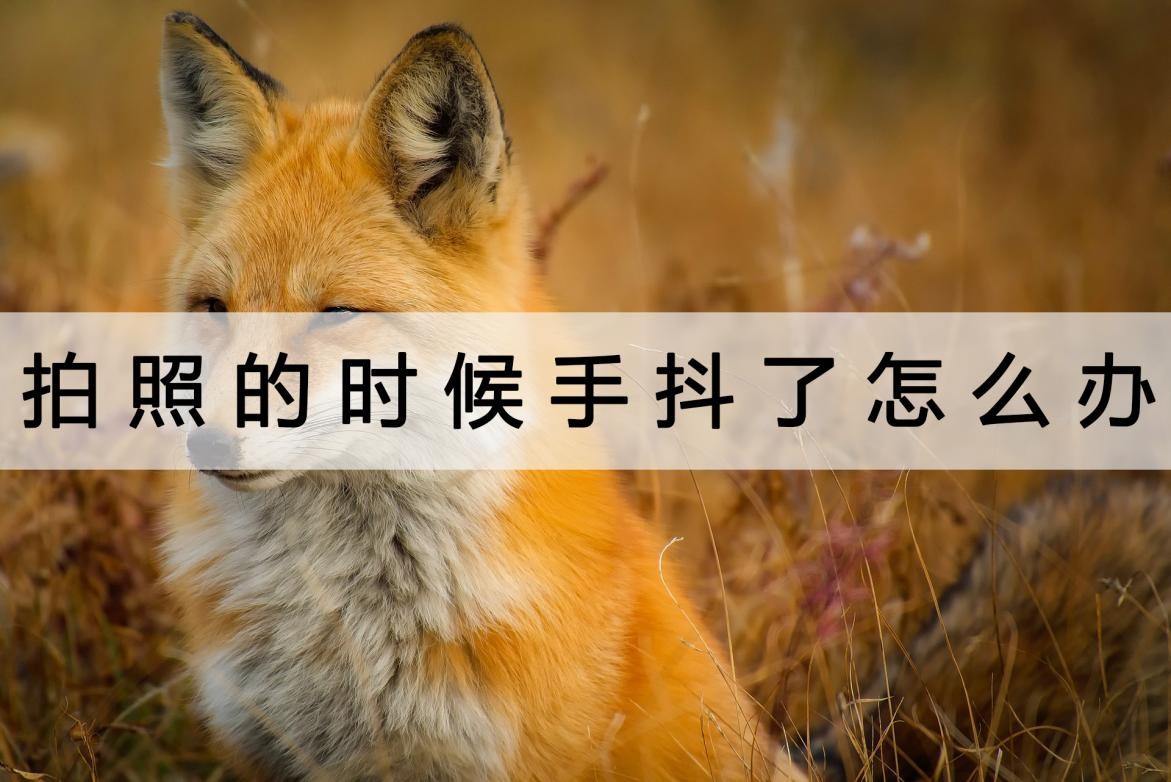 拍照的时候手抖怎么让照片清晰,拍照手抖模糊变清晰