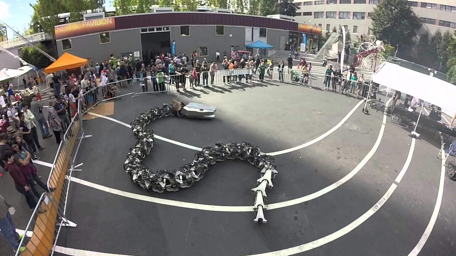 史前泰坦巨蟒到底有多长,泰坦巨蟒最大可以长到多大