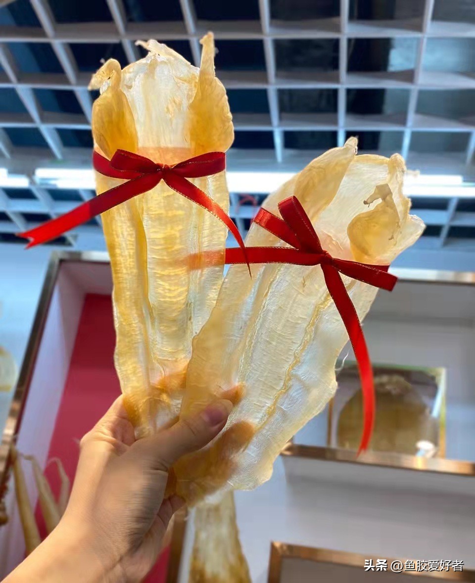 北海胶和大口胶怎么选择,北海公胶和墨西哥胶哪种好