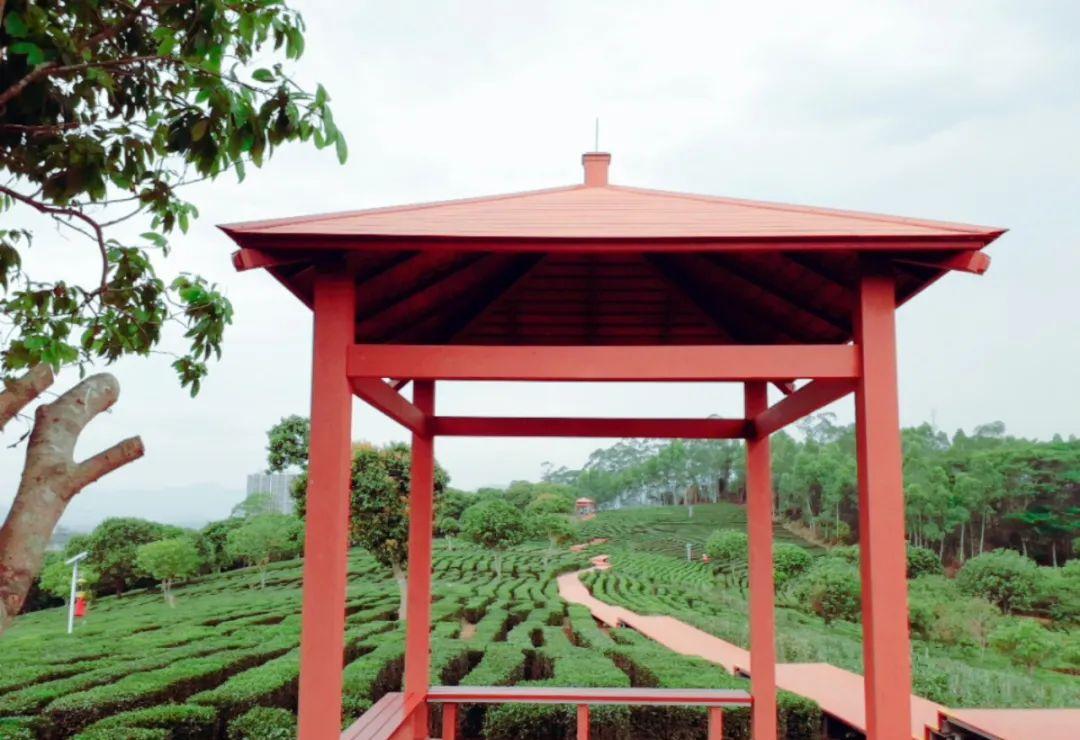 惠州柏塘罗浮山,惠州出发2天一夜旅游攻略图