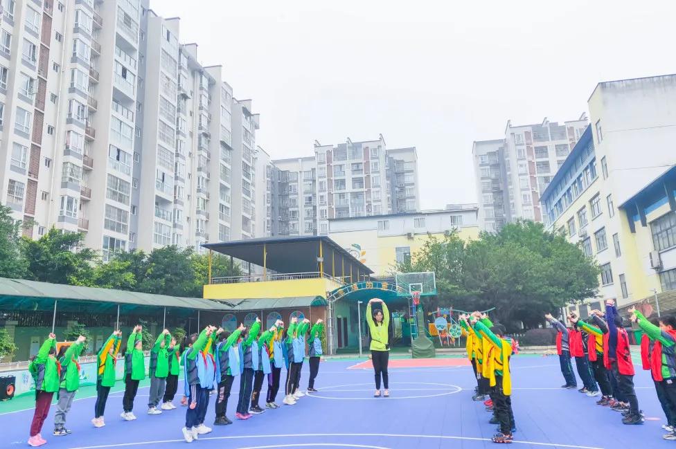 双减政策下如何开展小学科学教学,双减政策下的小学科学课堂