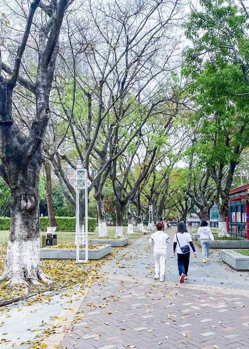 9个月交出一份湾区生活提案，这座万象汇诠释了新时代「中山慢」