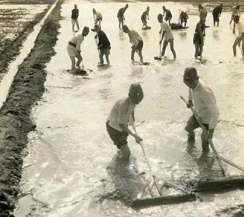 哪一年方正县为日本人立碑,方正县斥资70万为日本立碑