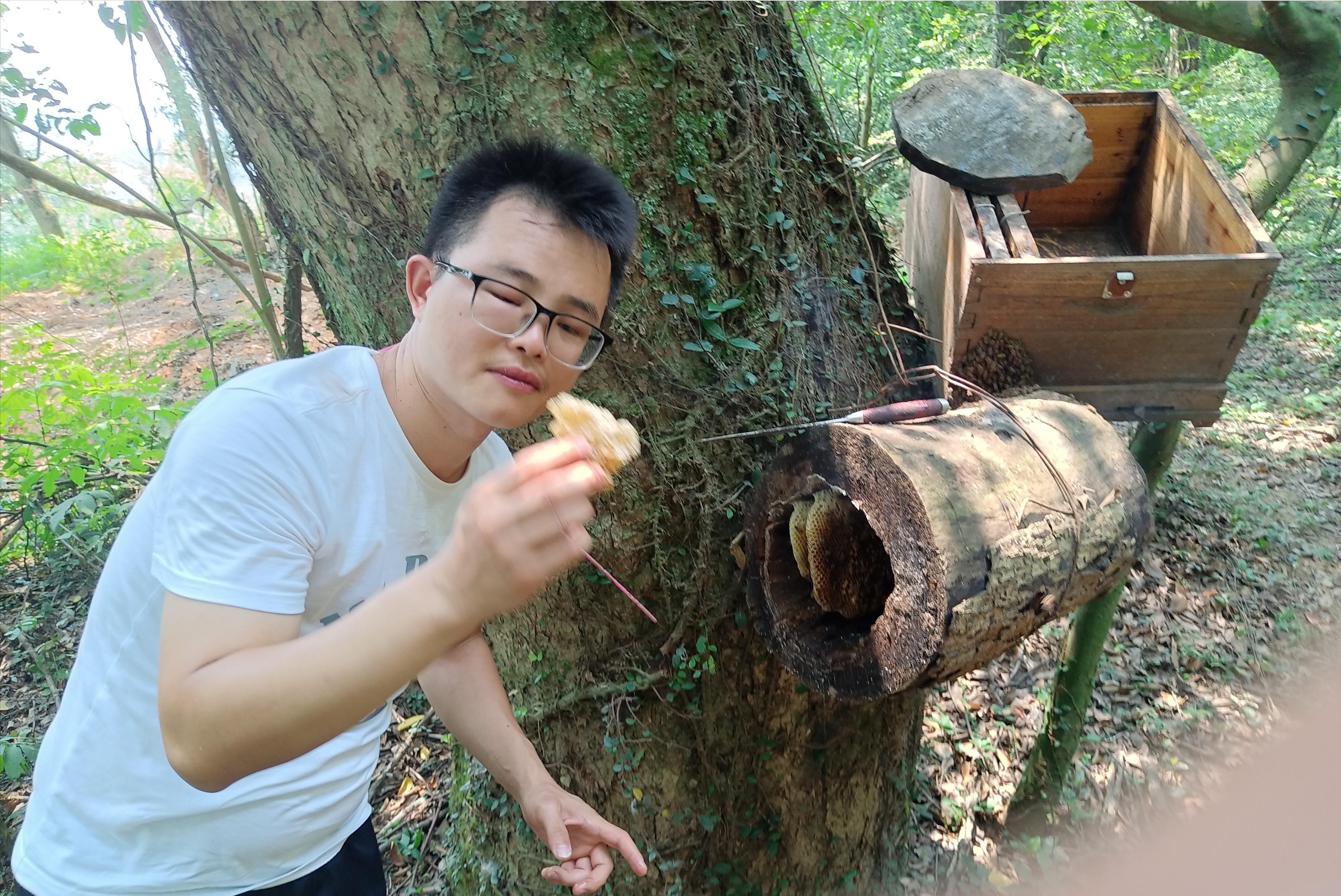 蜜蜂蛰了额头留下一片黑怎么办,我被蜜蜂蛰了