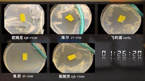 家用制氧机价格最贵多少,最好的家用制氧机十大排名