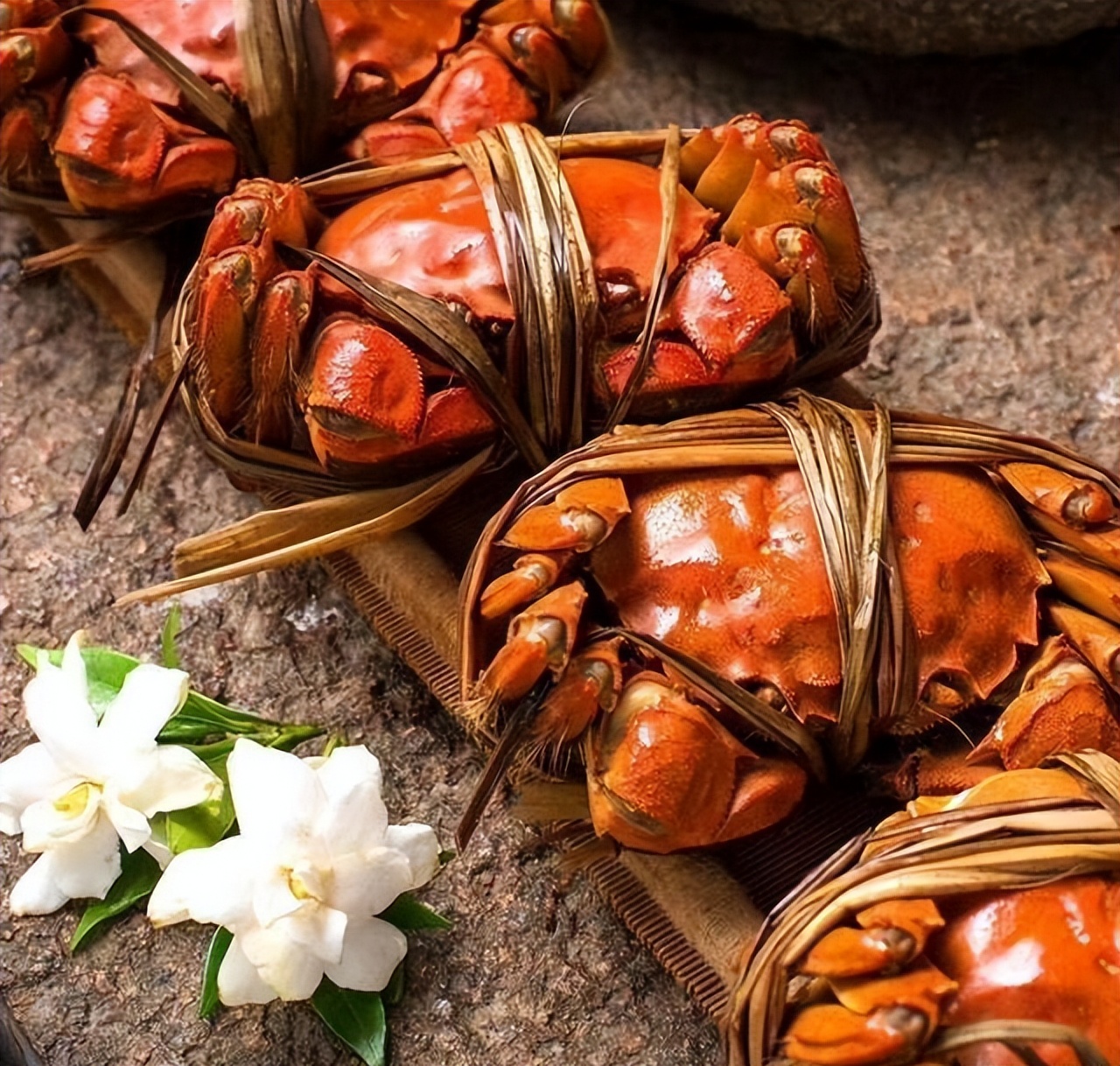 哪里的螃蟹最有名最好,全国最好的螃蟹排名