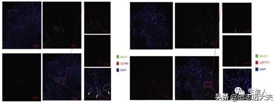 单细胞测序干湿结合,单细胞测序数据分析教程