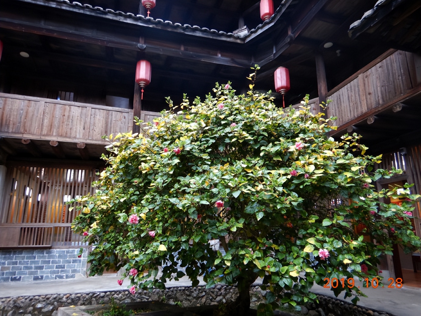 走进世界文化遗产之一福建永定客家土楼