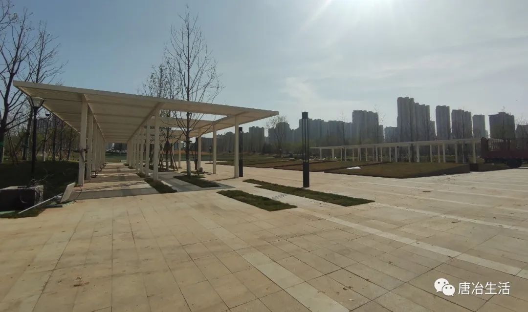 济南唐冶中央公园可以玩了吗,济南国际贸易港中央公园