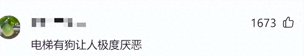 女子狗尾巴扫到对方被打后续,狗尾巴扫到别人被打女子抖音后续