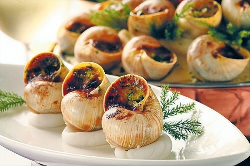 法国顶级食材蜗牛,法国蜗牛菜品有哪些