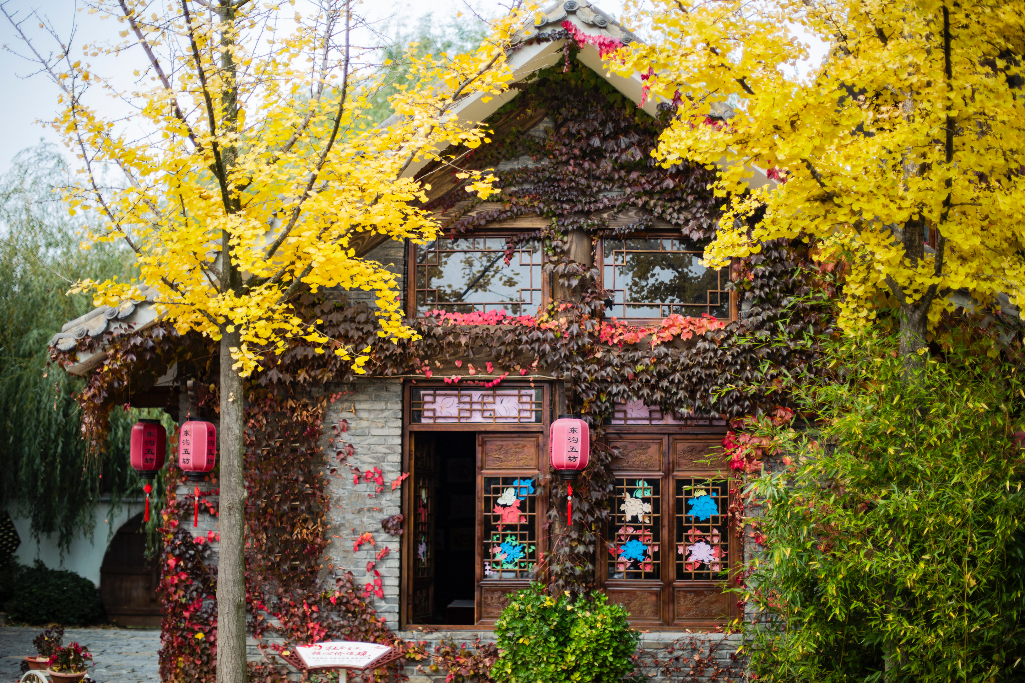 十一不离连,来“东沟”玩个够