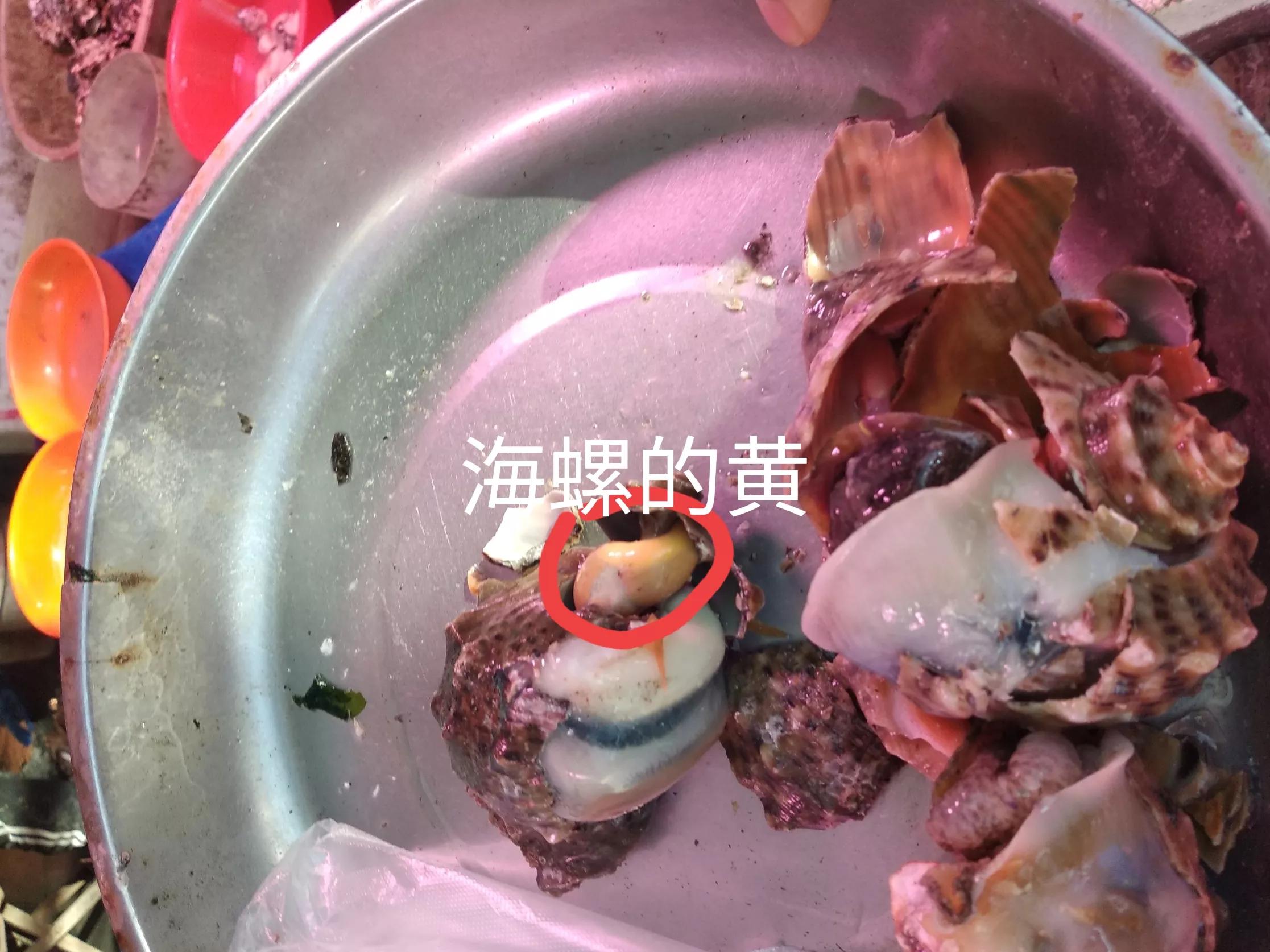 吃海螺生吃还是煮着吃,海螺的尾部到底是黄还是屎