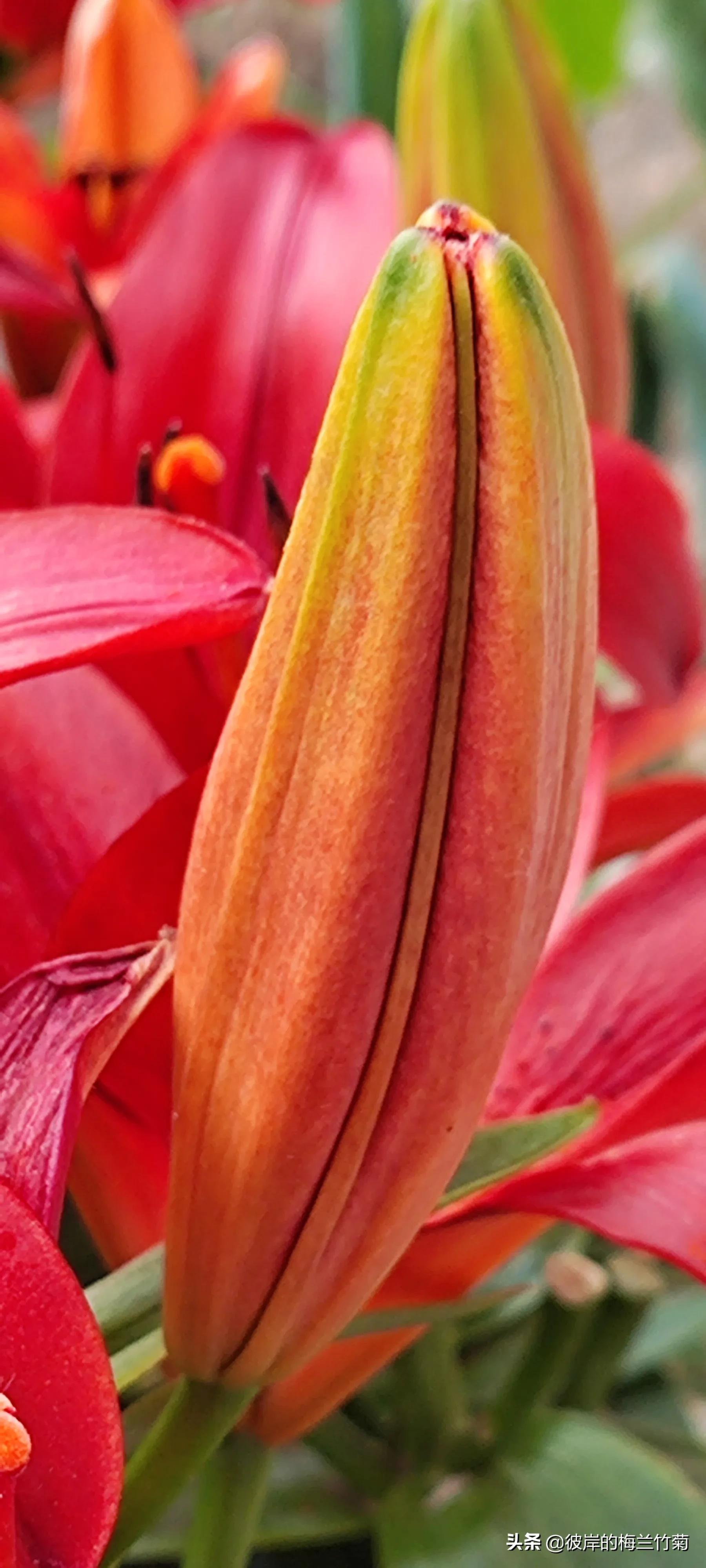 分享一些干货是什么意思,分享干货动作