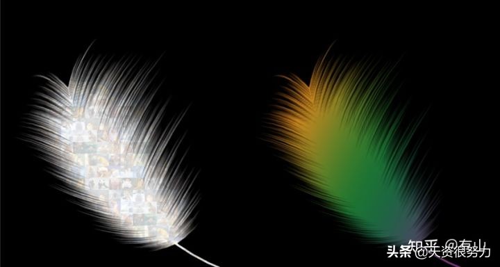 ps怎么制作羽毛动画教程,ps羽毛飞舞特效教程