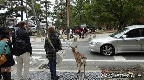 出国旅游的人真实感受,一些出国之后才发现的事