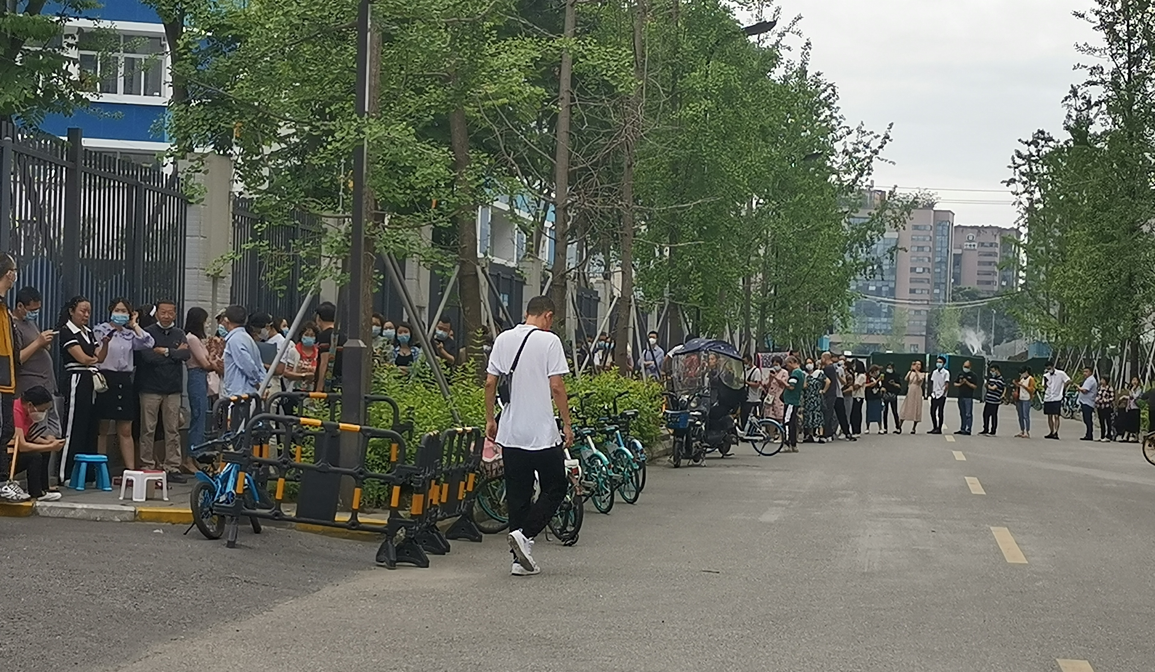 2022成都小学,2022成都小学报名