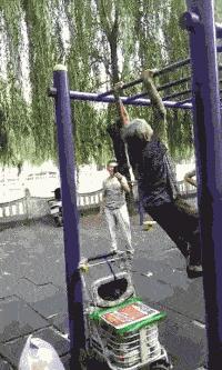 老鼠贴粘到鸟违法吗,老鼠贴能粘住死人吗