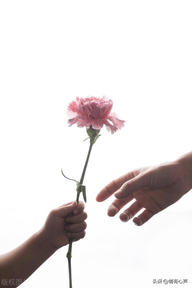 母亲节的鲜花怎么保存更长久,母亲节的鲜花