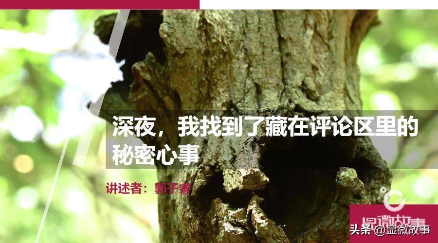 深夜，我找到了藏在评论区里的秘密心事