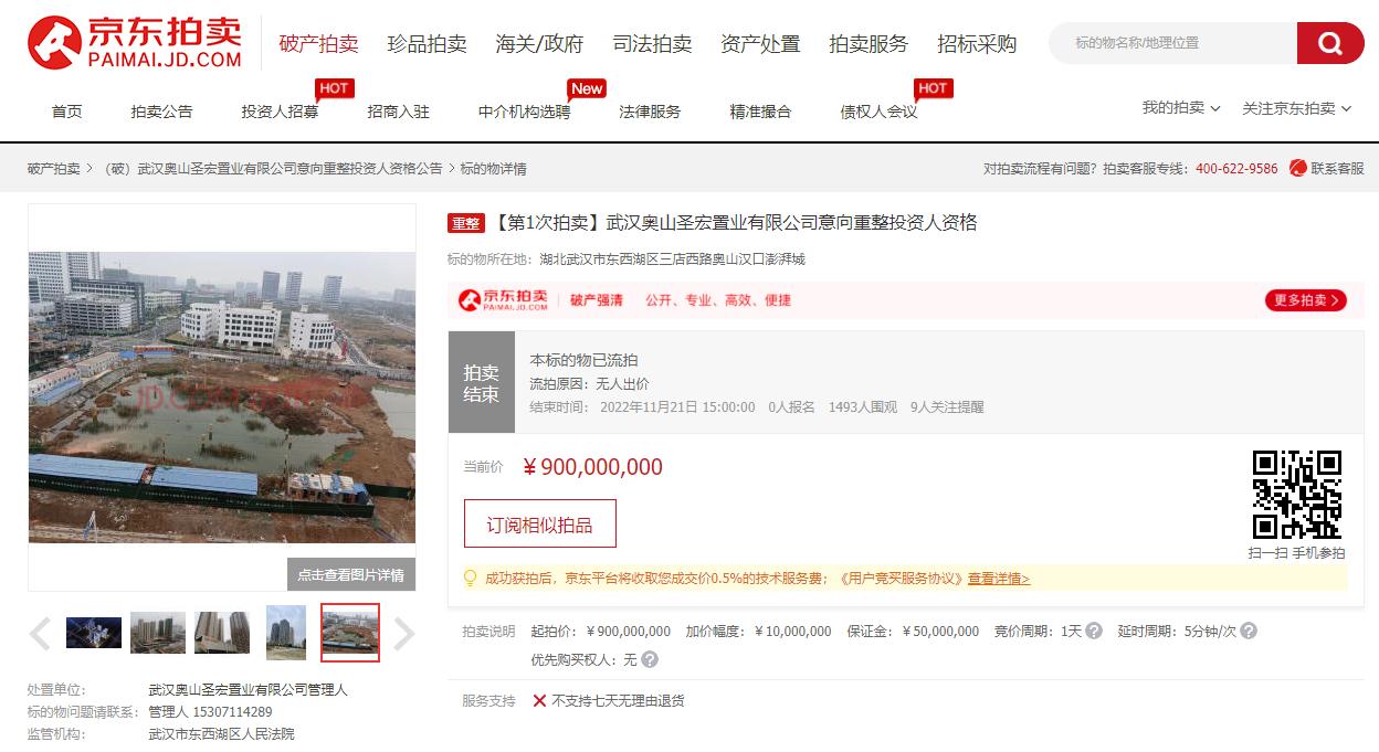 奥山汉口澎湃城被谁收购了,东西湖奥山澎湃城政府接盘了吗