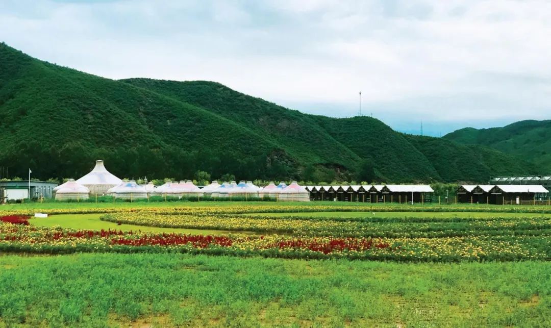示范家庭农场申报推荐表填写,家庭农场财务网上申报怎么报