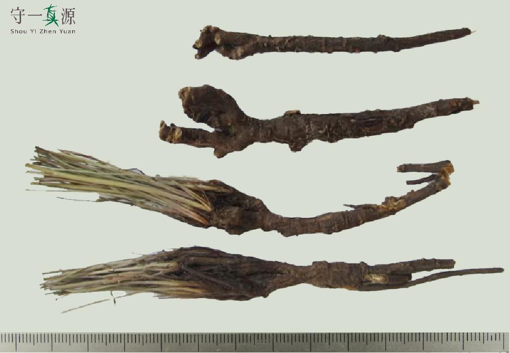 中药鉴定真假找谁,柴胡真假优劣鉴别