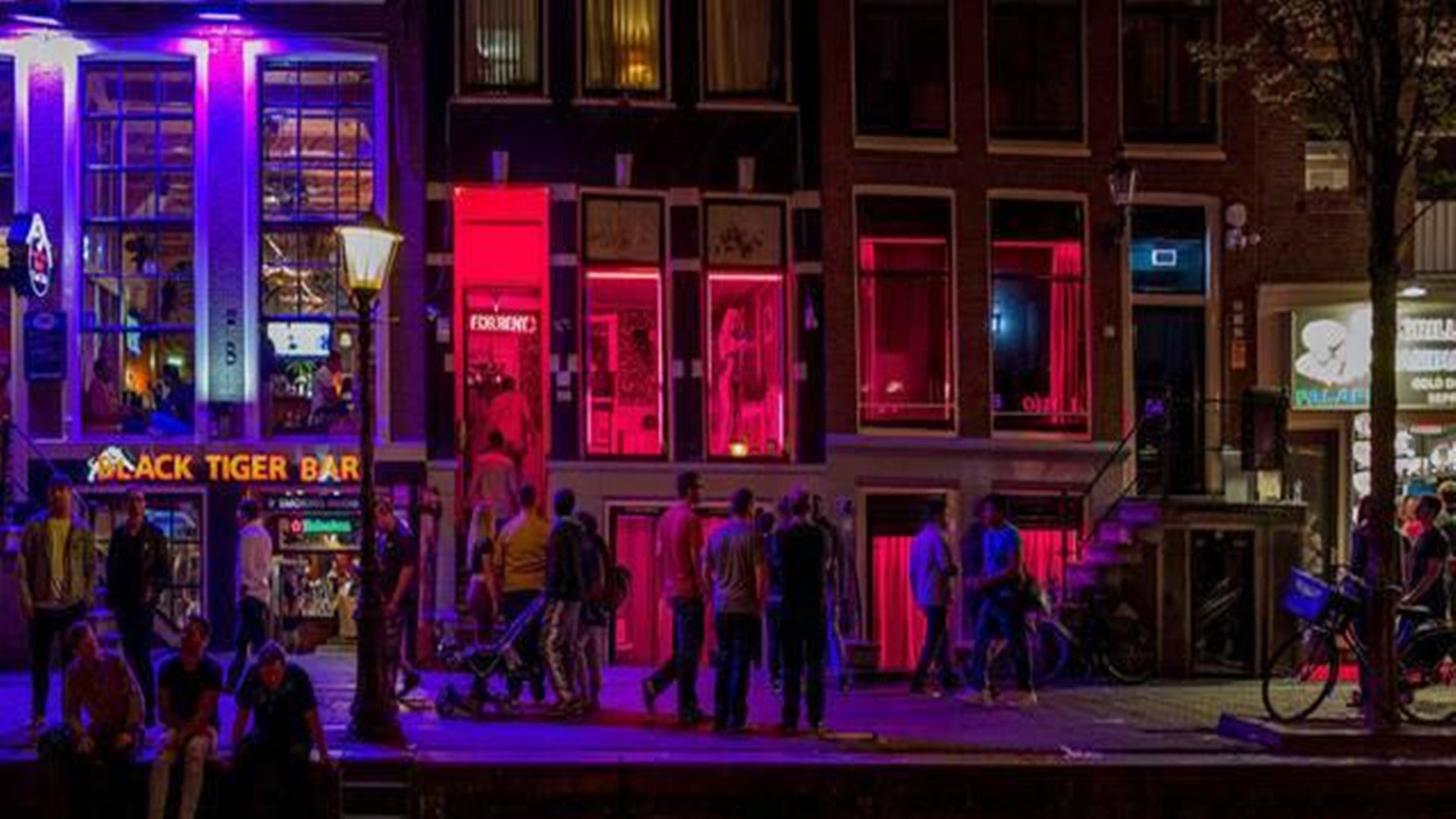 荷兰合法化的新政策,荷兰宣布性合法后遗症