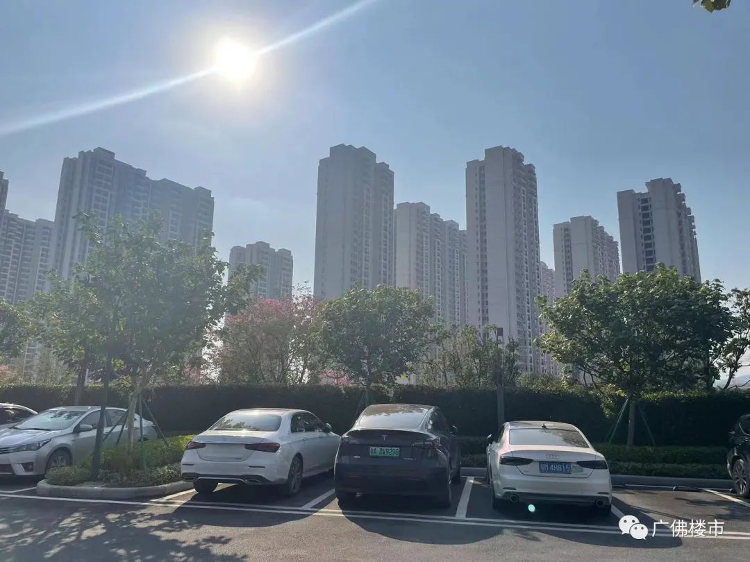 知识城二手盘推荐,知识城哪个盘低价