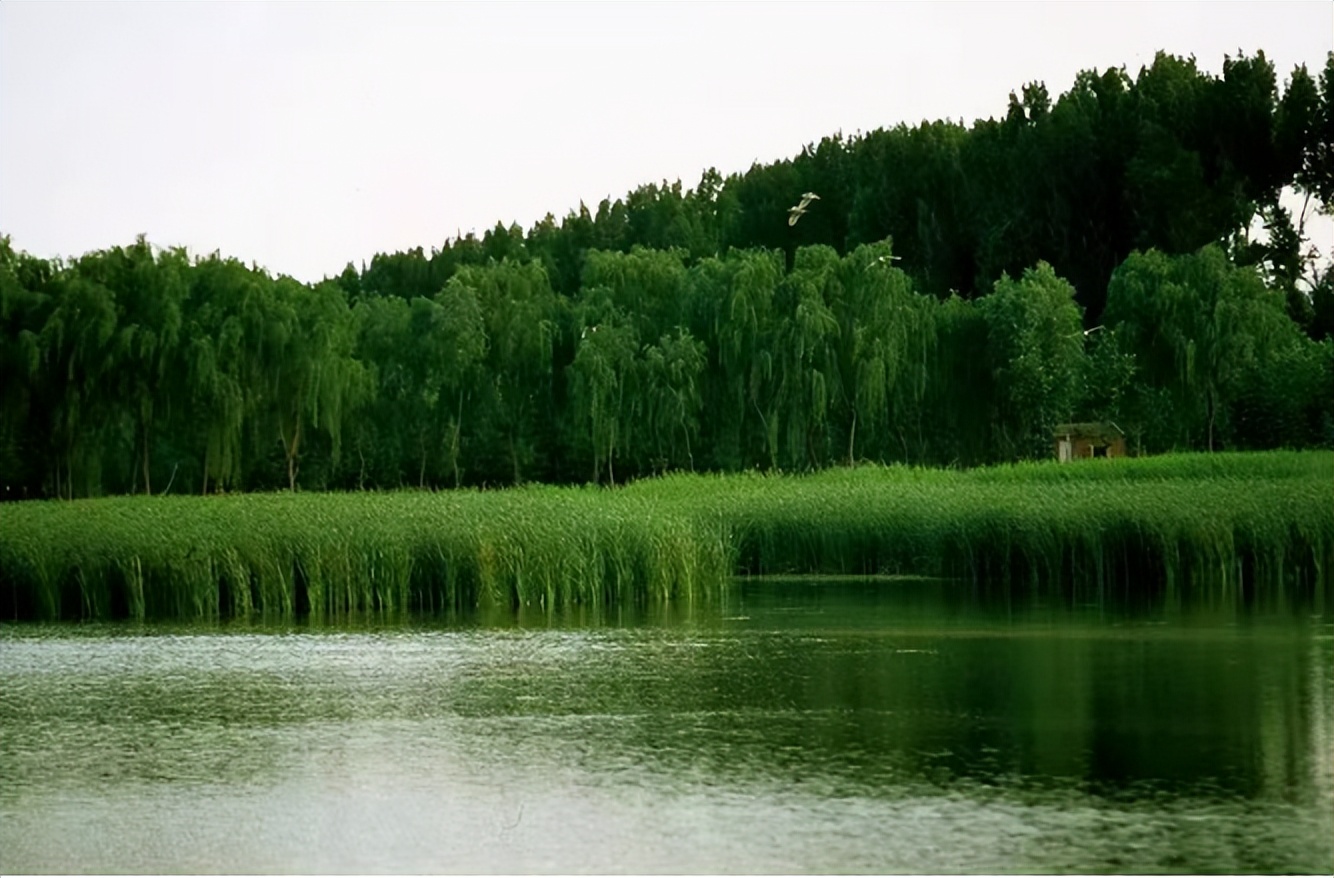 汉石桥自然湿地,汉石桥湿地重游