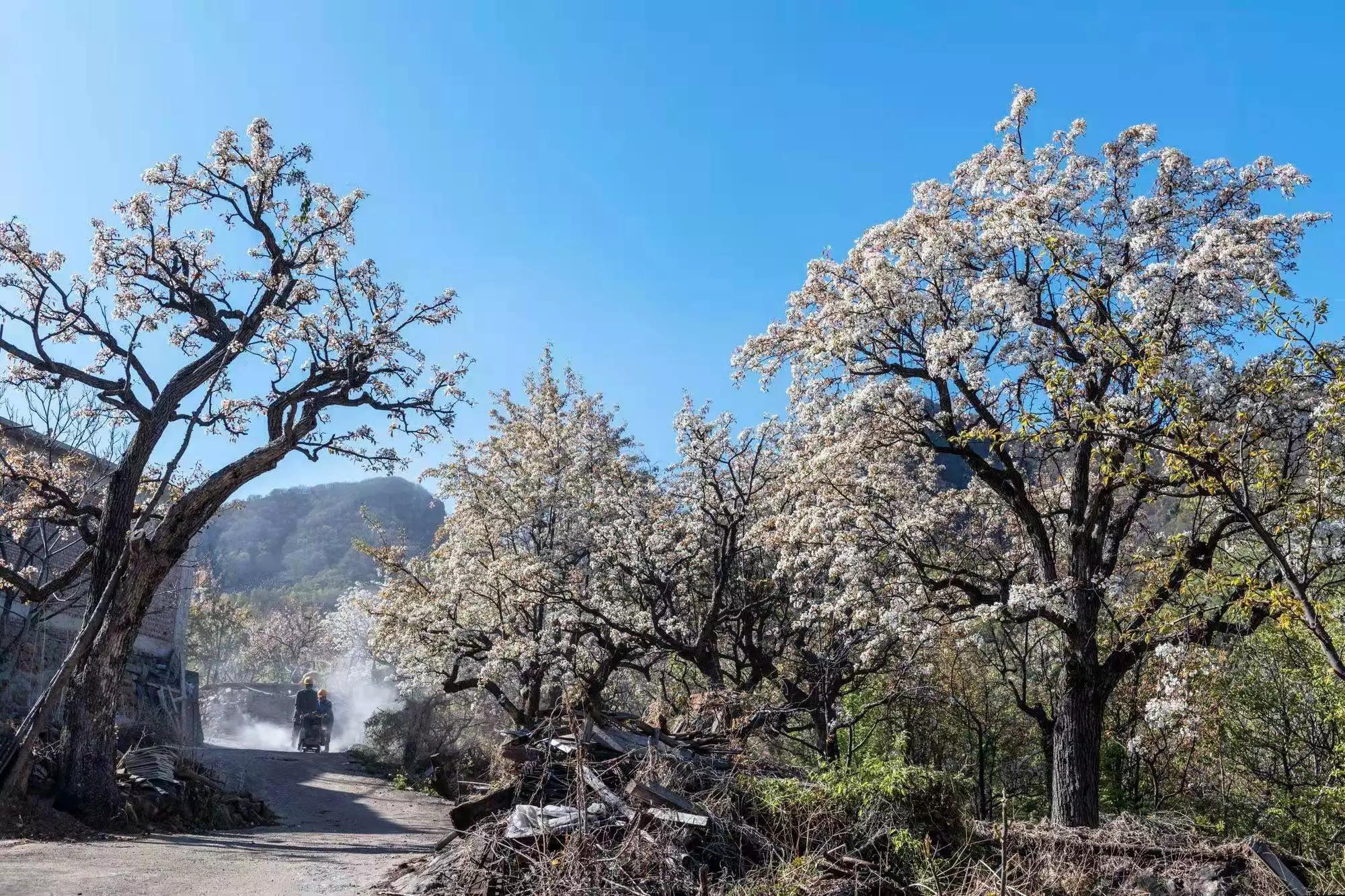 少女被山西变态男骗进“地下淫窝”封妃，出逃失败惨遭凌虐致死！