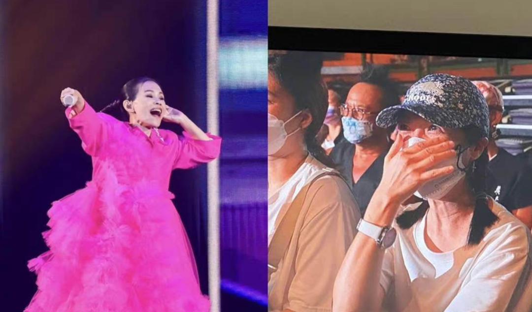 明星离婚20多次,2019明星们离婚