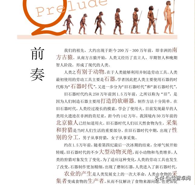 世界史全文完整版,世界史完整版书籍