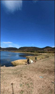 腾讯体育视频直播世界杯,腾讯视频直播世界杯