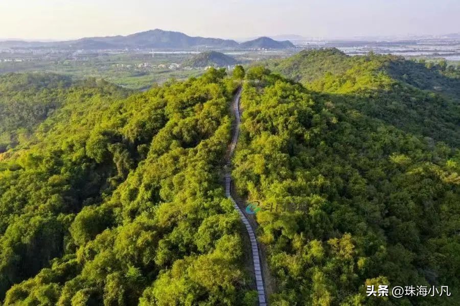 刚刚开通！莲洲⇋香洲！10元往返+区域无限次…