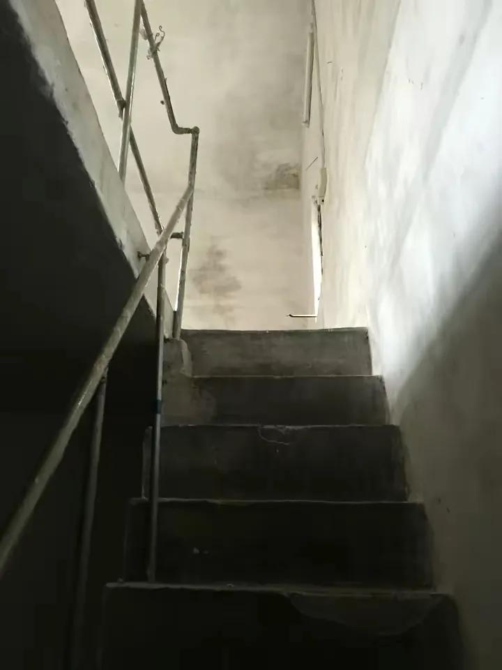 如何花最少的钱改造出租屋,怎样花最少的钱布置出租房