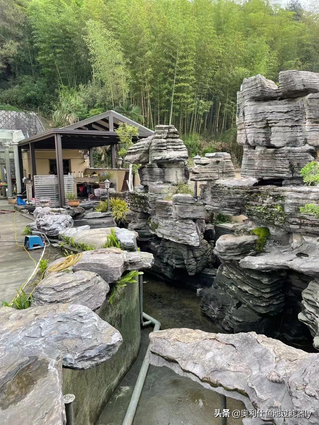 锦鲤鱼池清洗方法,鱼池里锦鲤总是死